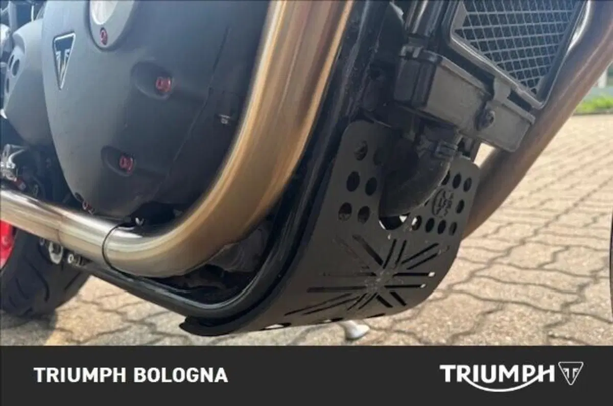 Triumph Speed Twin 1200 (2019 - 20) (12)