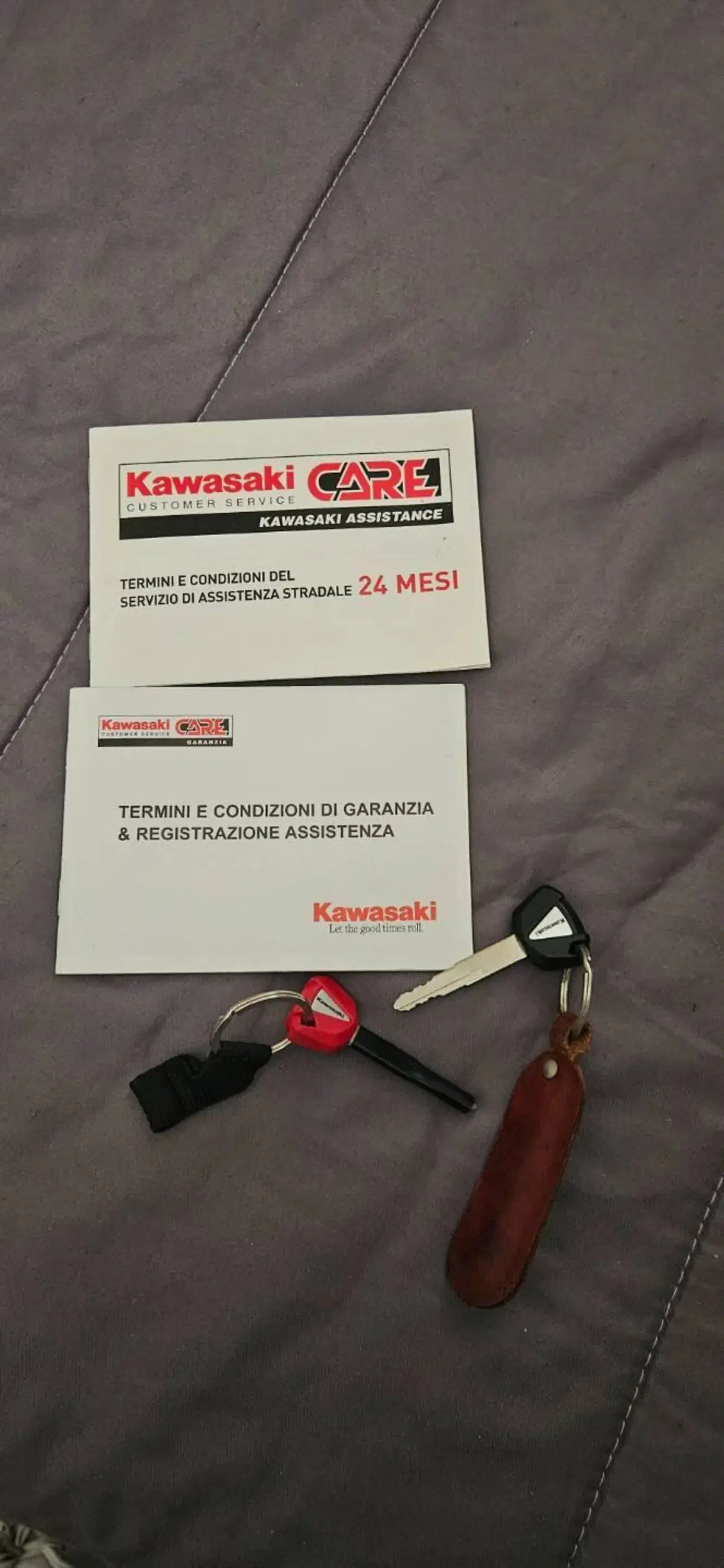 Kawasaki Z 1000 (2010 - 13) (6)