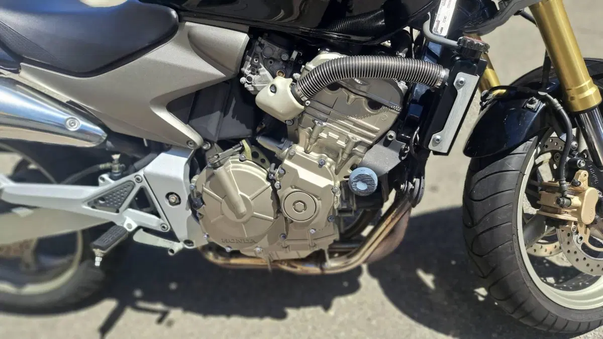 Honda Hornet 600 (2005 - 06) (10)