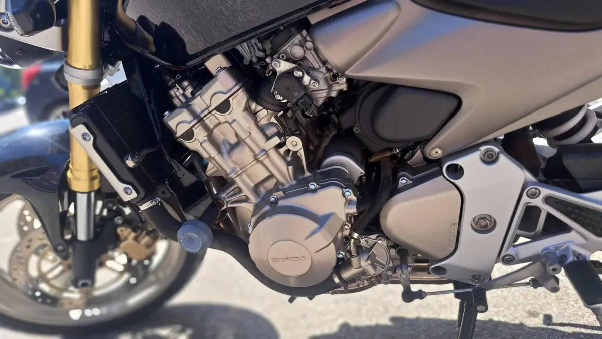 Honda Hornet 600 (2005 - 06) (13)