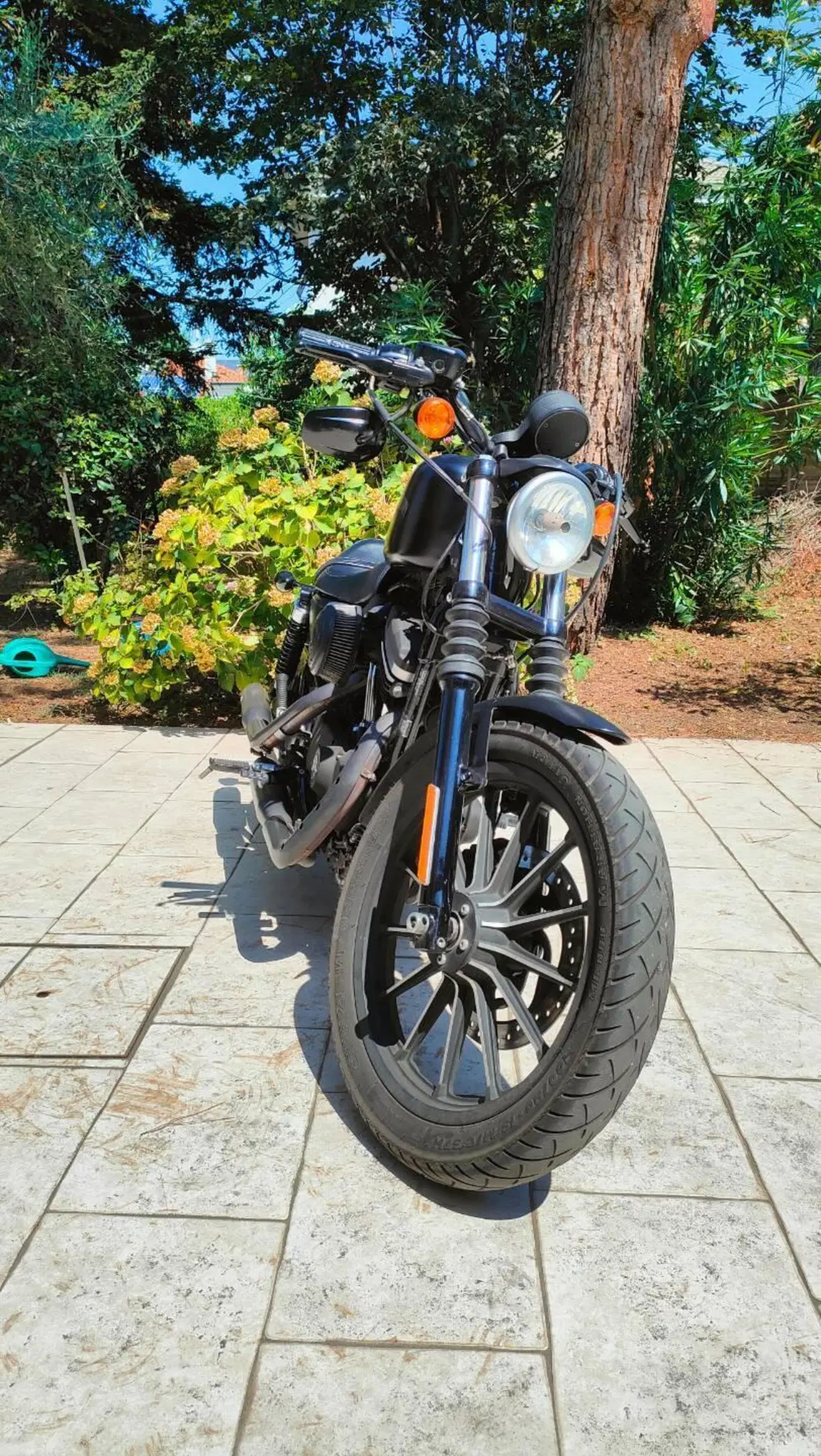 Harley-Davidson 883 Iron (2014 - 16) - XL 883N (2)