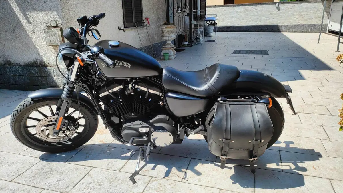 Harley-Davidson 883 Iron (2014 - 16) - XL 883N (3)