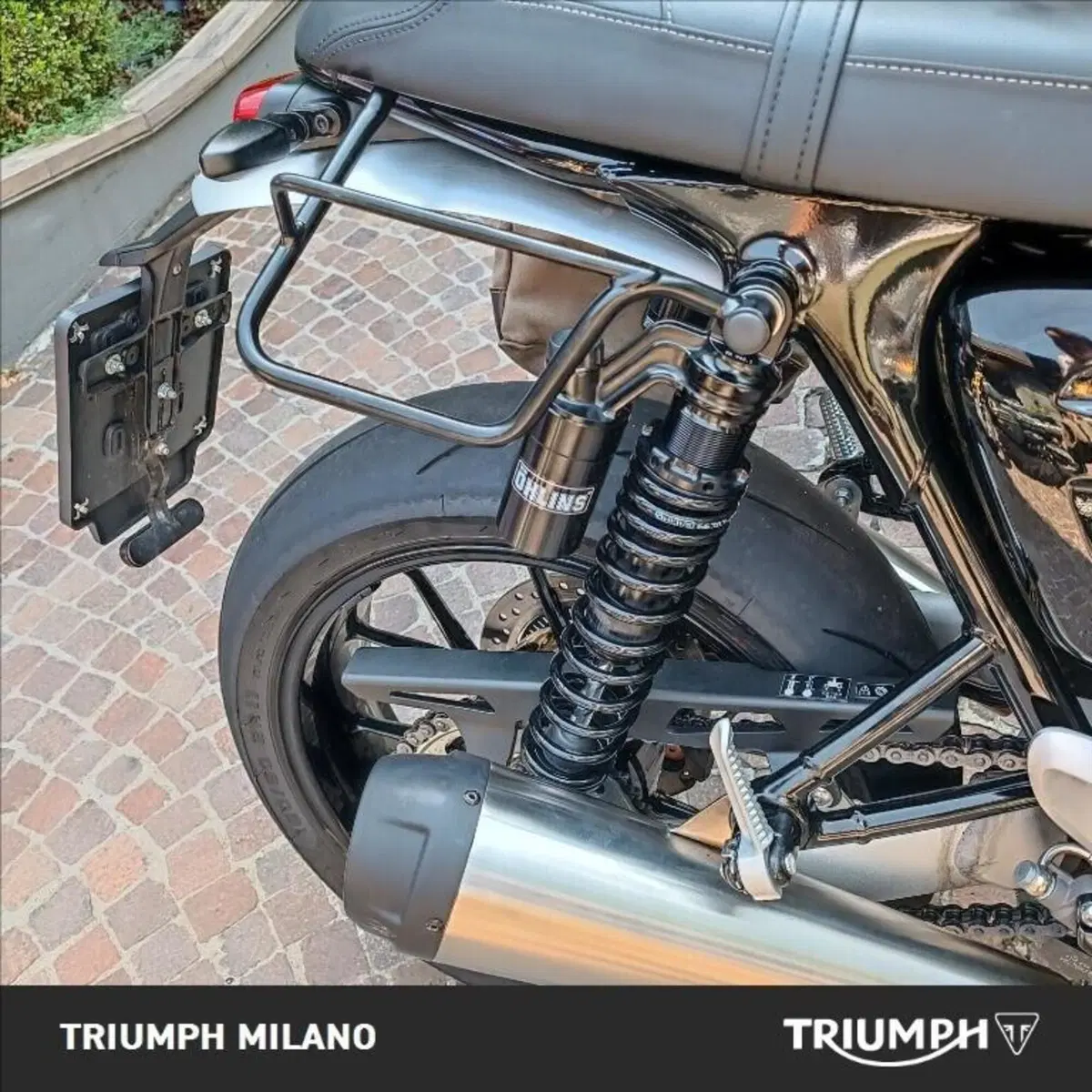 Triumph Speed Twin 1200 (2021 - 24) (2)
