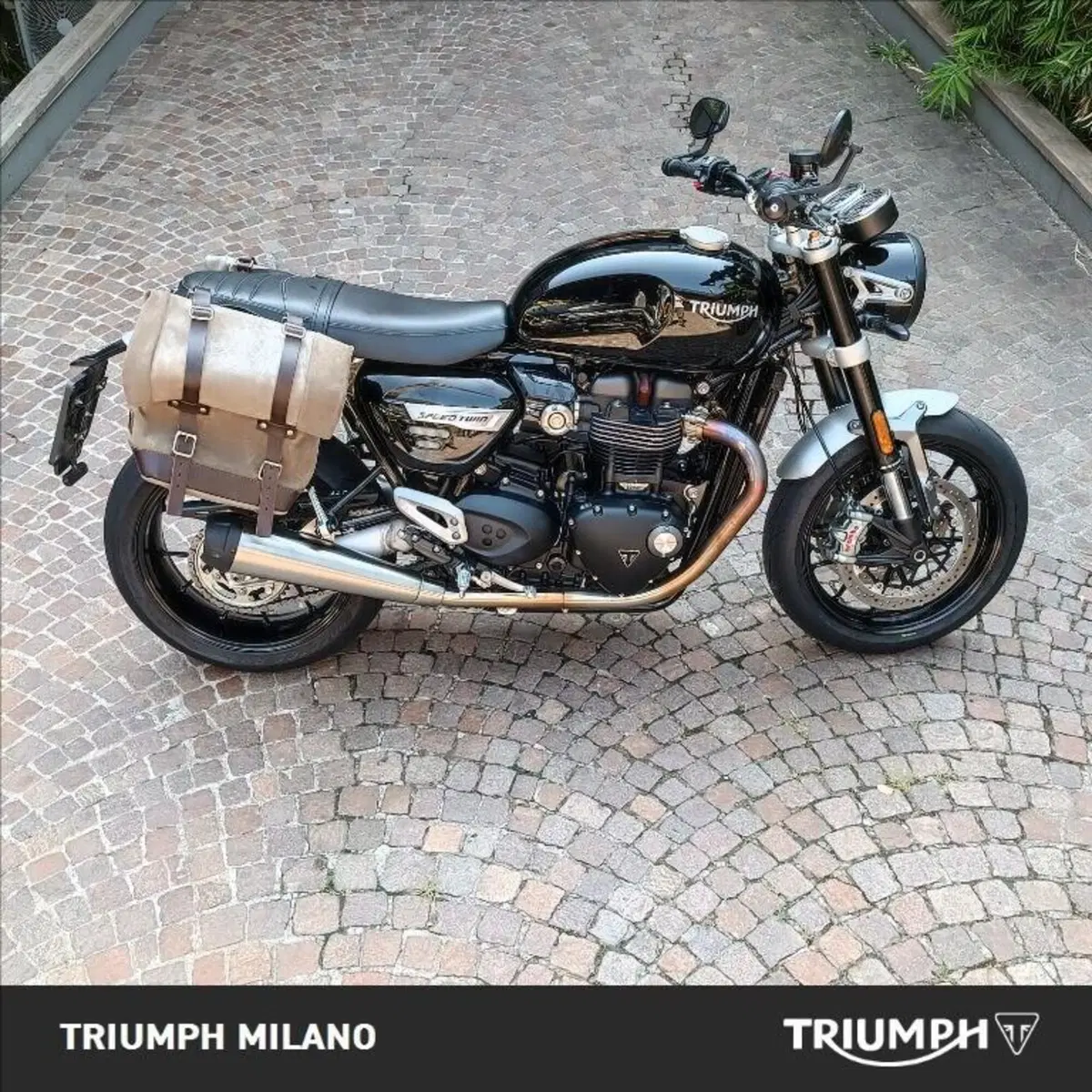 Triumph Speed Twin 1200 (2021 - 24)