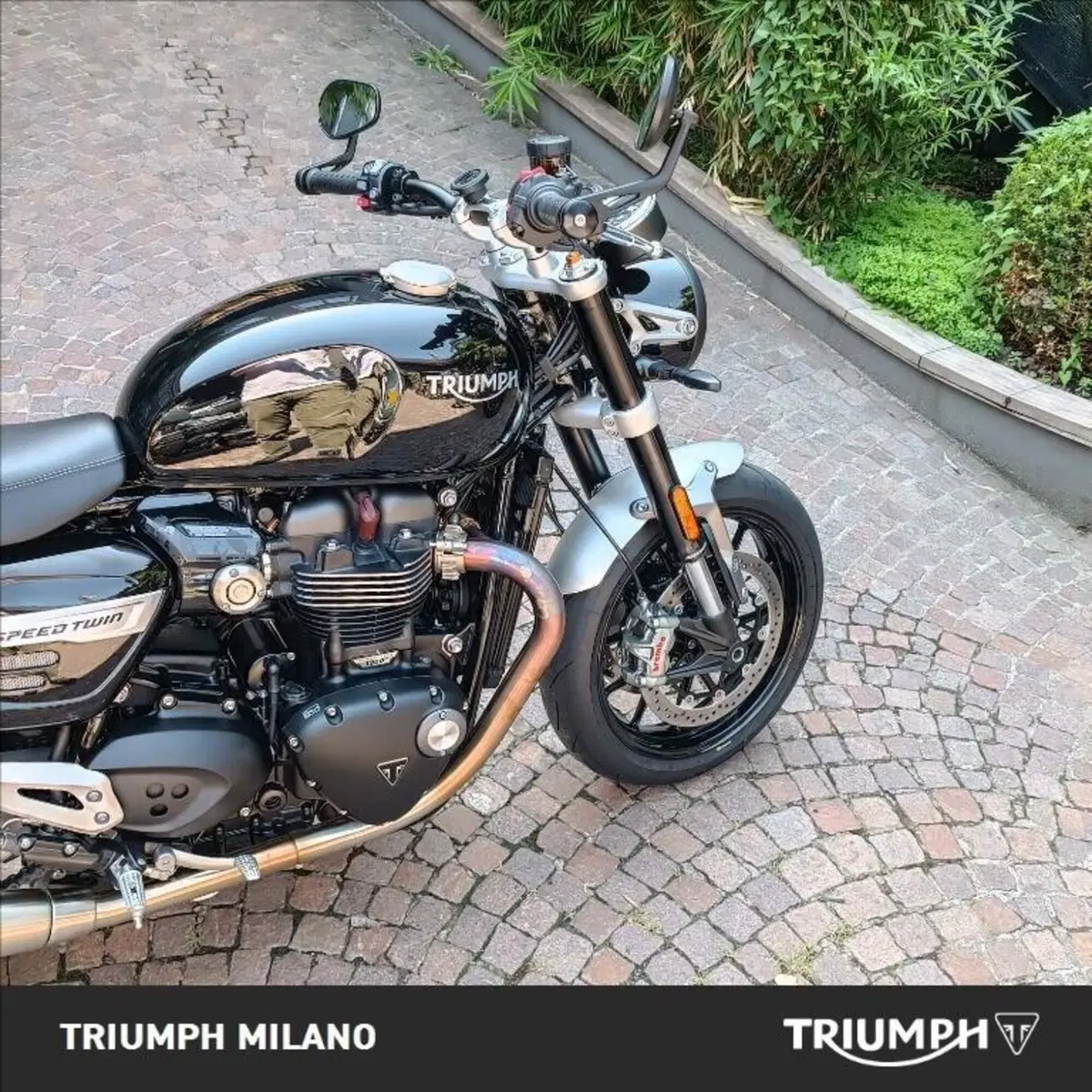 Triumph Speed Twin 1200 (2021 - 24) (5)