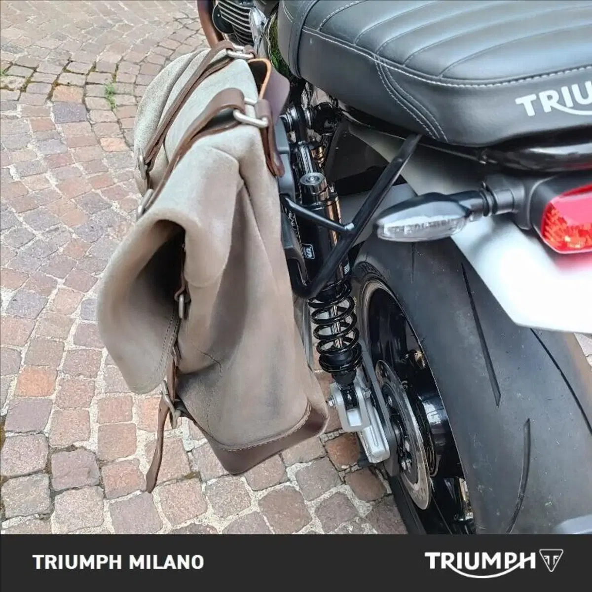 Triumph Speed Twin 1200 (2021 - 24) (4)