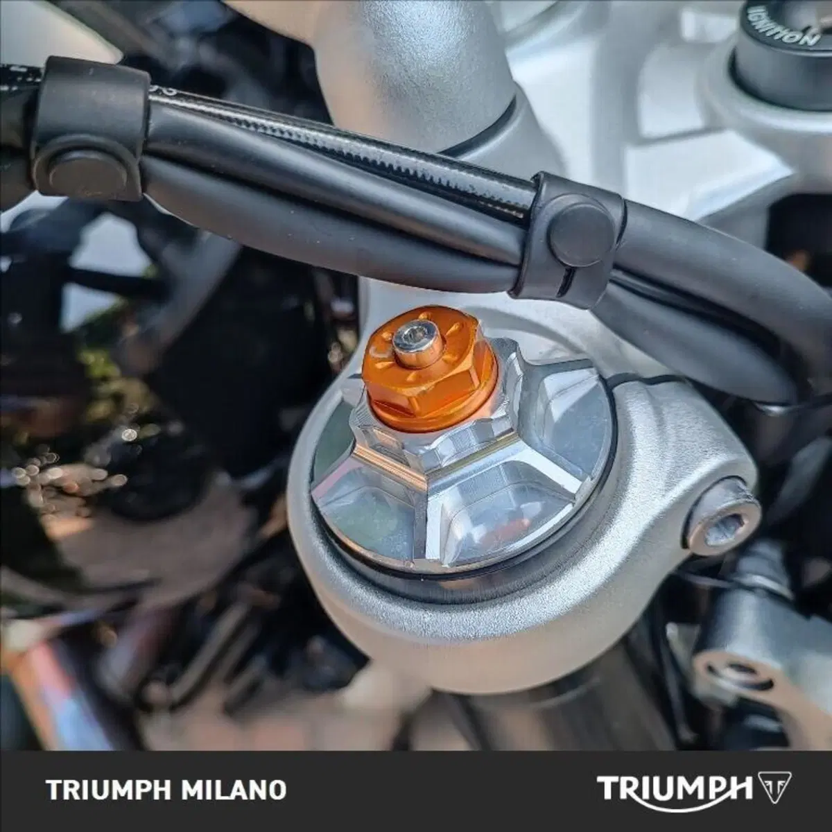 Triumph Speed Twin 1200 (2021 - 24) (6)