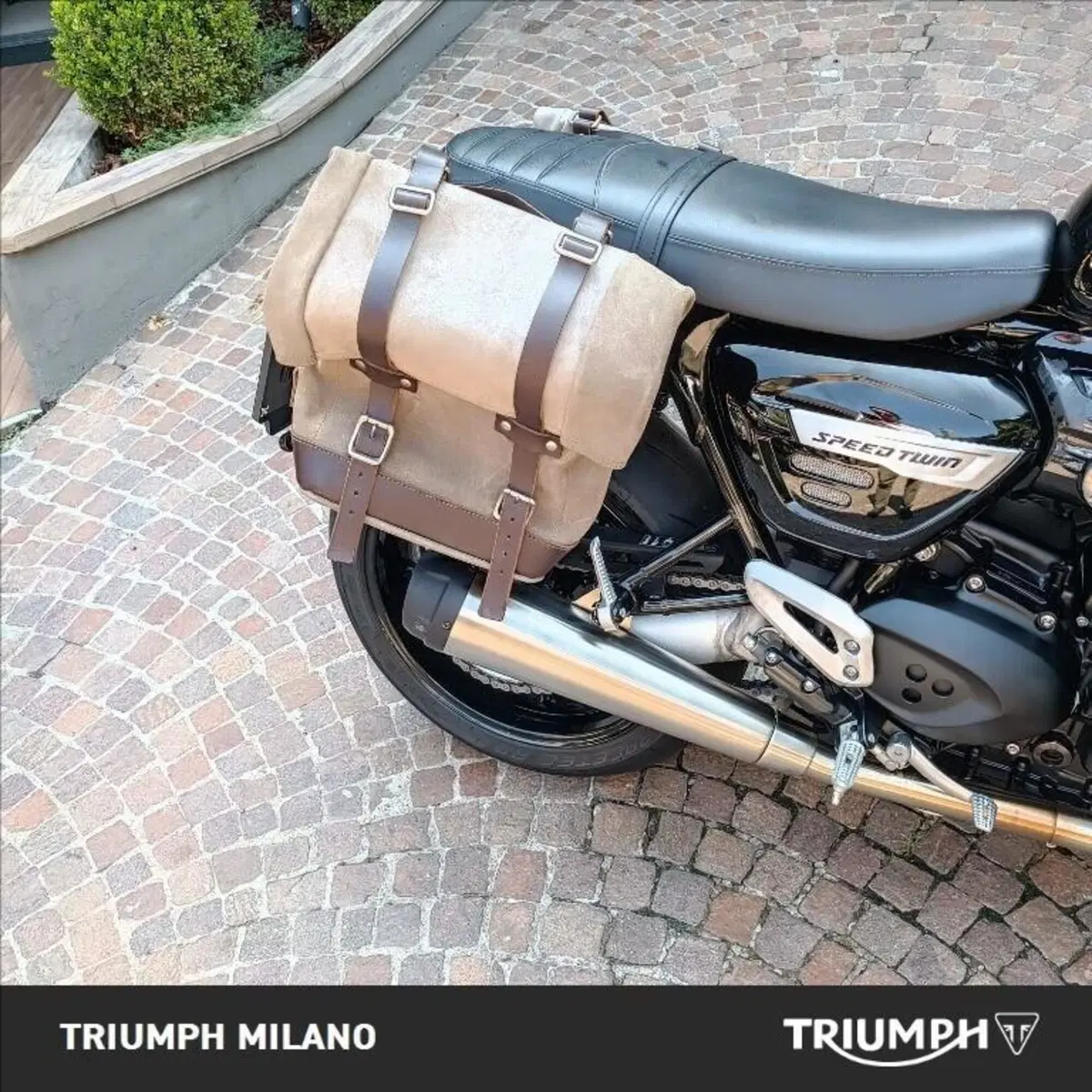 Triumph Speed Twin 1200 (2021 - 24) (3)
