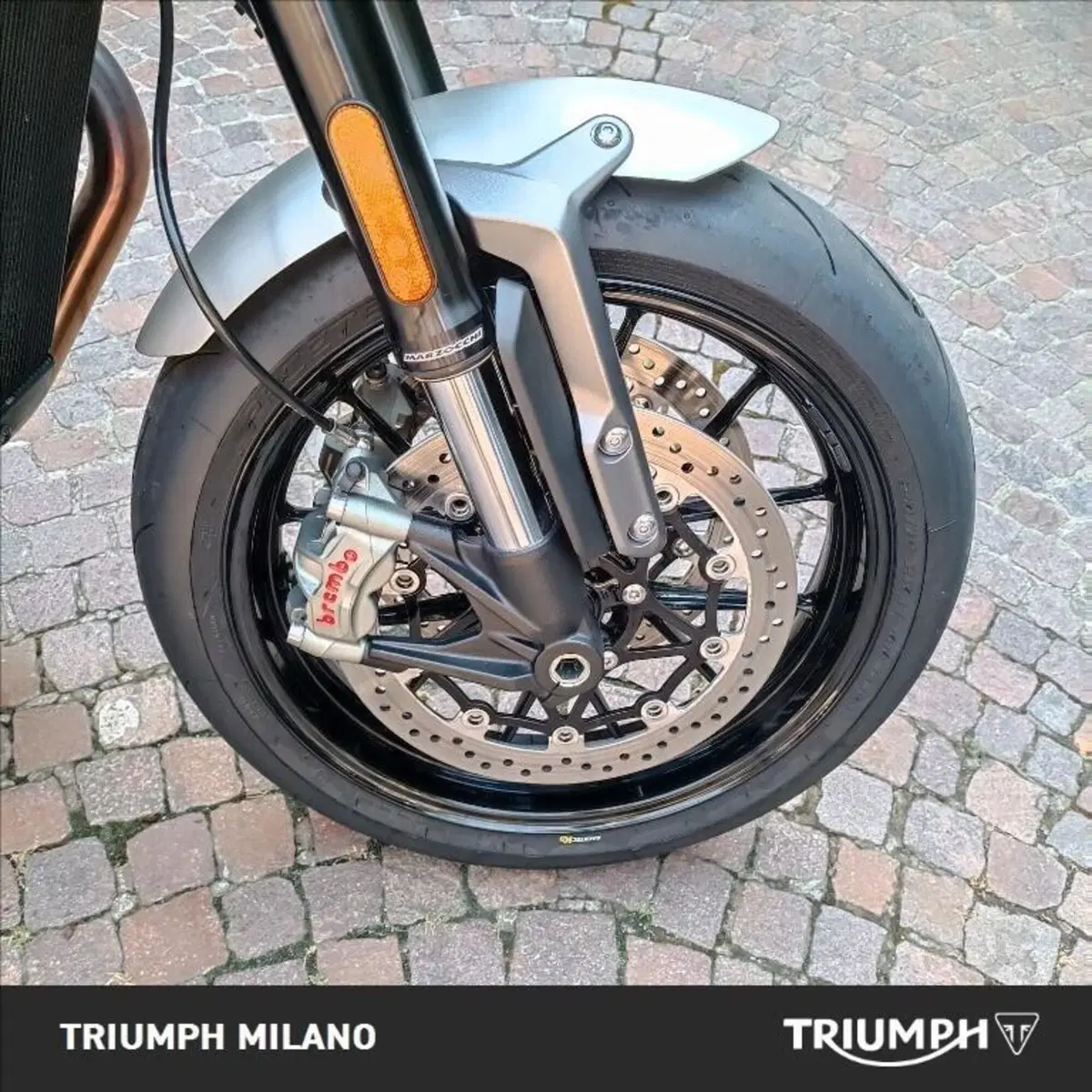 Triumph Speed Twin 1200 (2021 - 24) (8)