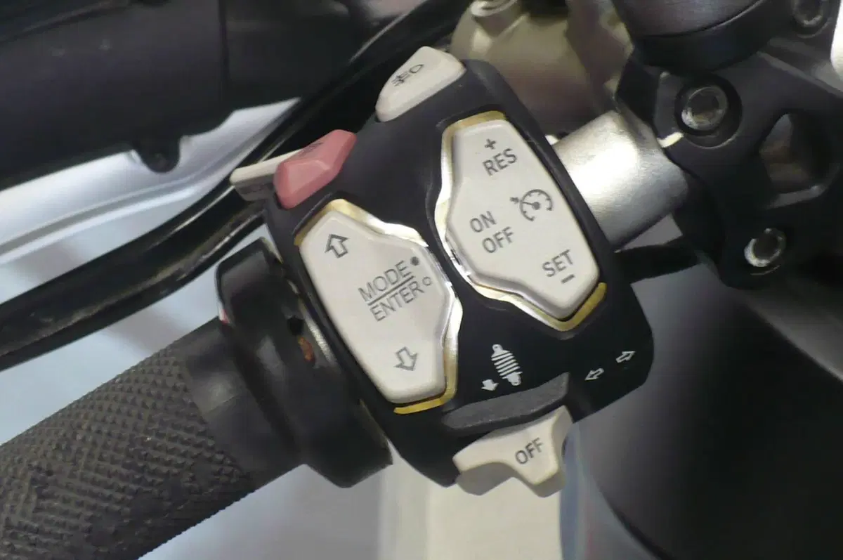Ducati Multistrada 1260 S (2018 - 20) (7)