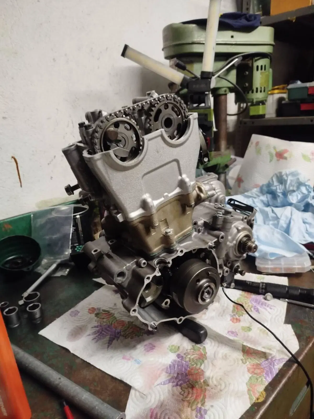 Yamaha YZ 250 F (2009) (6)