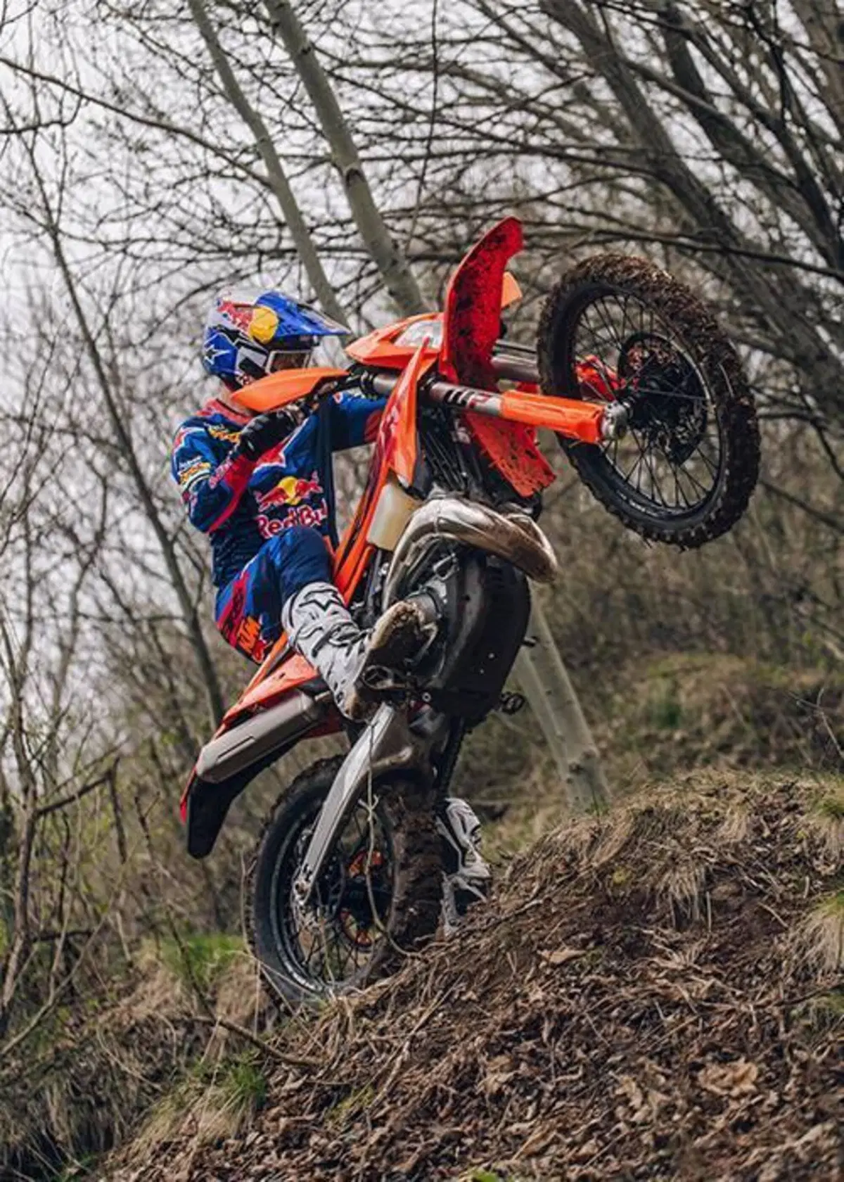KTM 300 EXC (2027) (4)