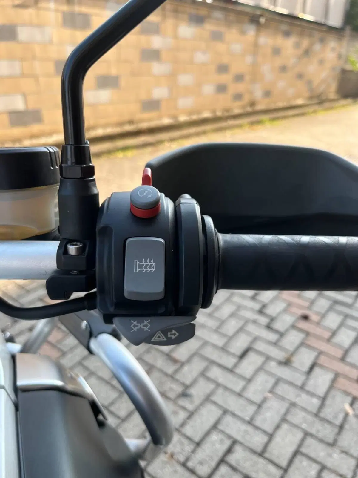 Bmw R 1200 GS (2008 - 09) (10)
