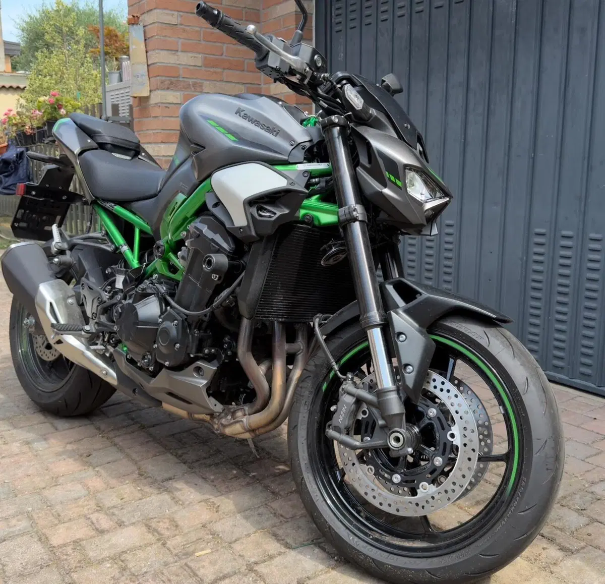 Kawasaki Z 900 (2025 - 26)