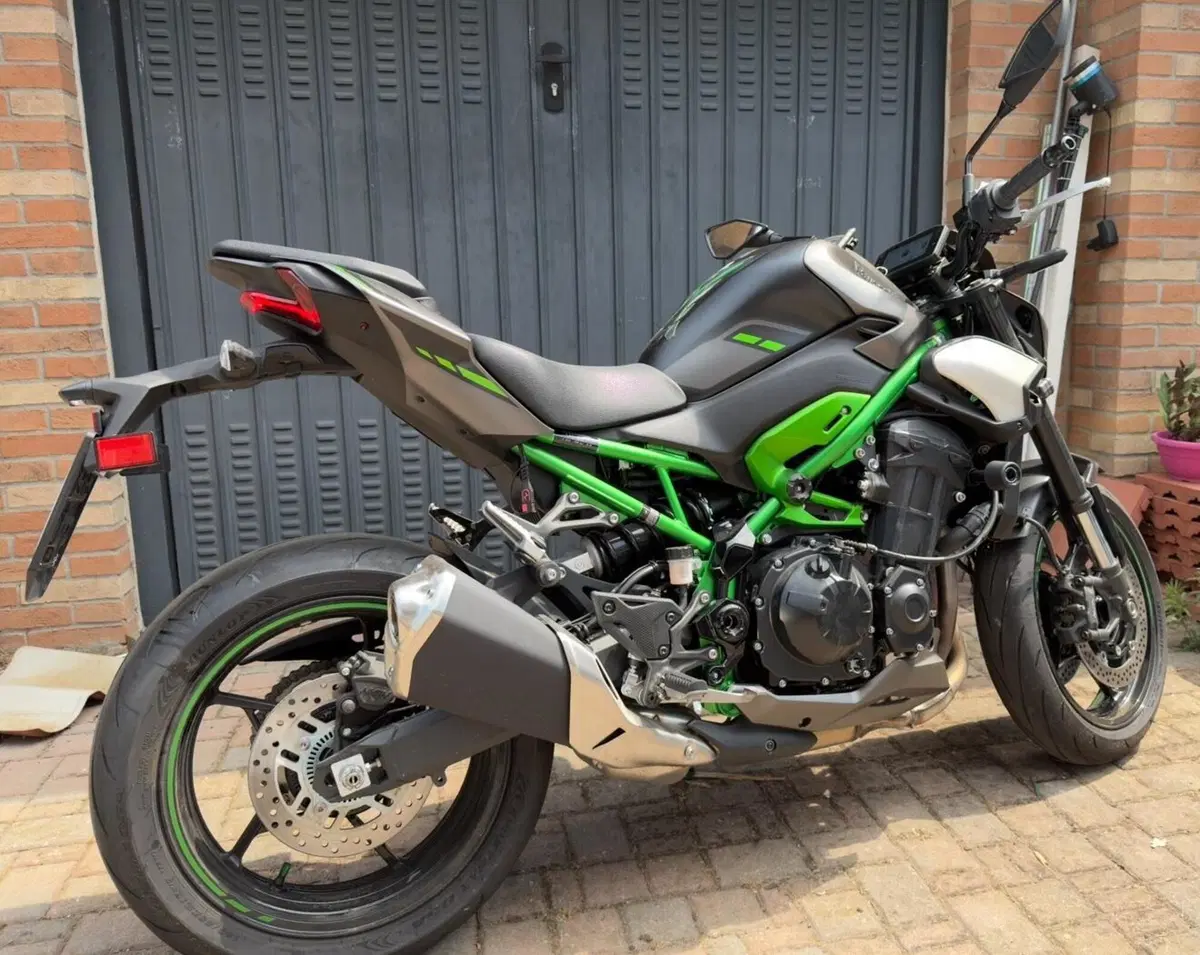 Kawasaki Z 900 (2025 - 26) (2)