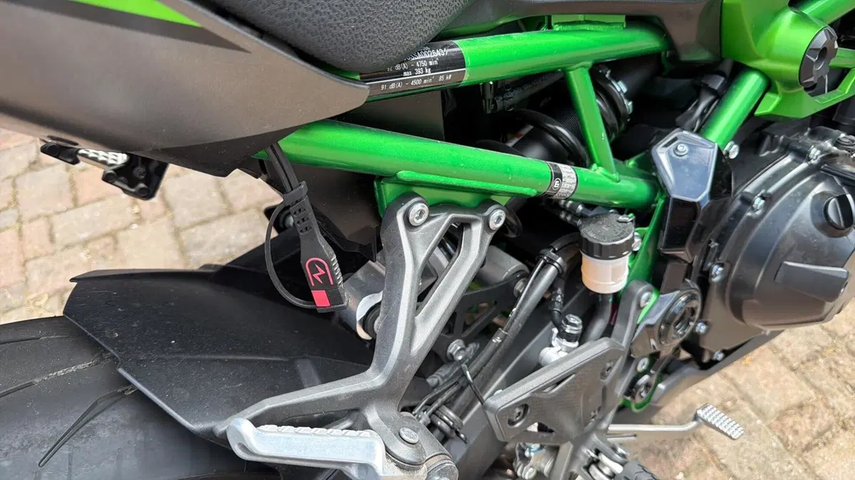 Kawasaki Z 900 (2025 - 26) (4)