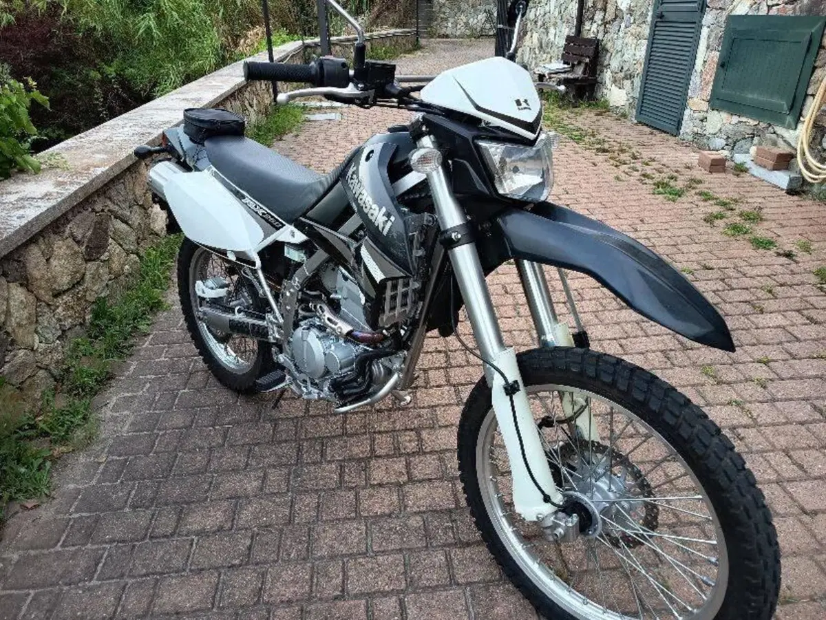 Kawasaki KLX 250 (2009 - 16) (4)