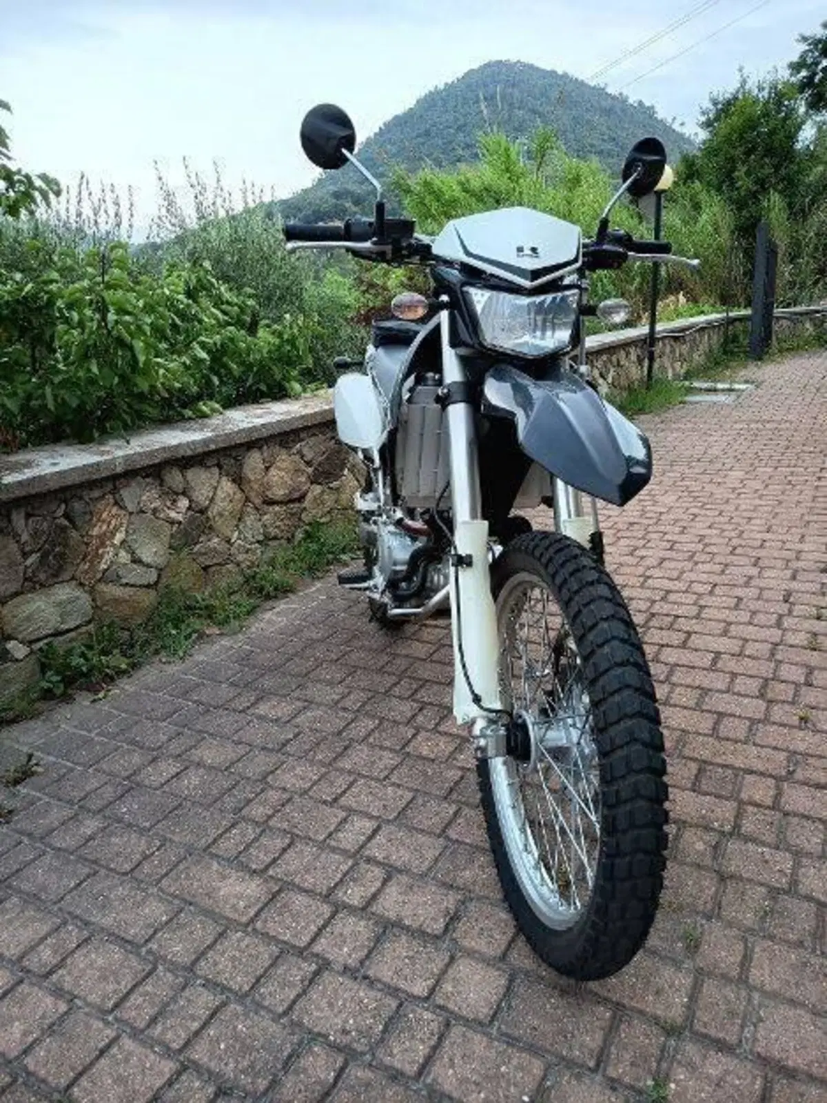 Kawasaki KLX 250 (2009 - 16) (5)