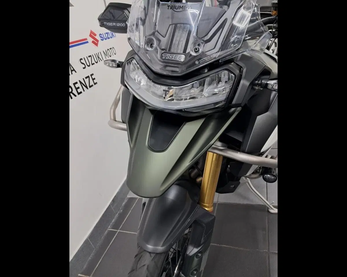 Triumph Tiger 1200 Rally Explorer (2022 - 23) (7)