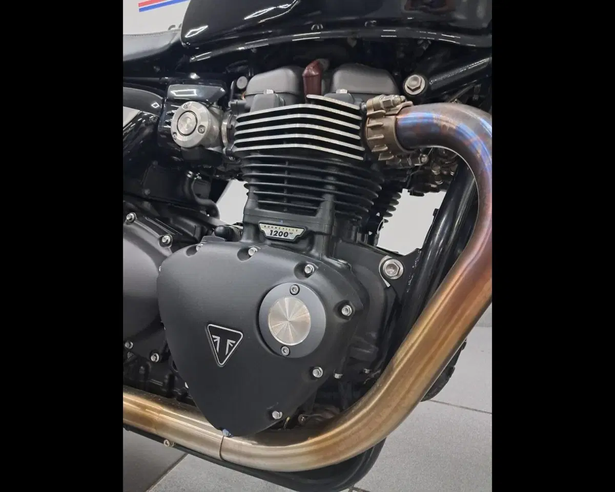 Triumph Speed Twin 1200 (2021 - 24) (9)