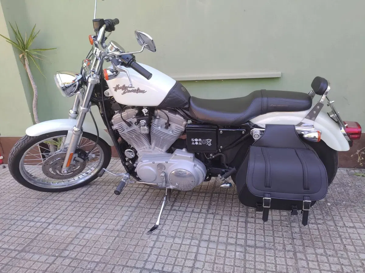 Harley-Davidson 883 Custom (2001 - 05) - XL 53C (2)
