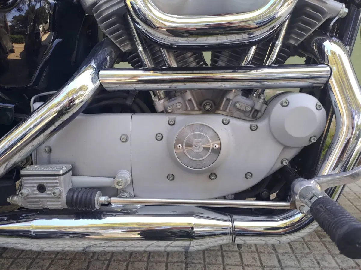 Harley-Davidson 883 Custom (2001 - 05) - XL 53C (4)