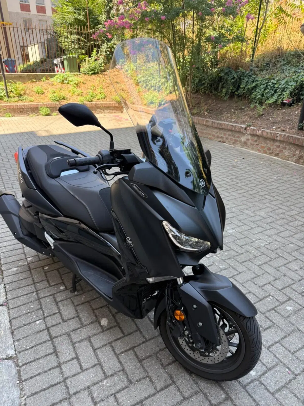 Yamaha X-Max 400 Iron Max (2019 - 20) (8)