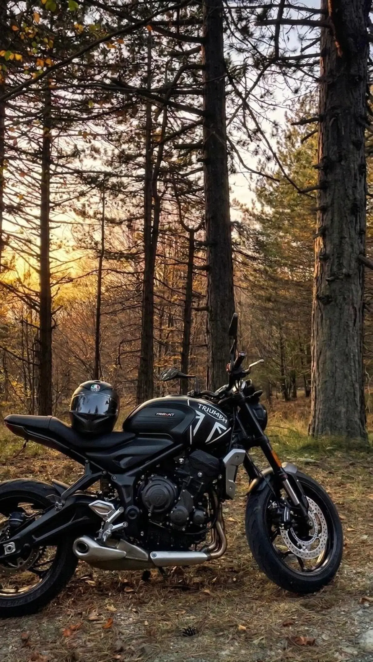 Triumph Trident 660 (2021 - 24)