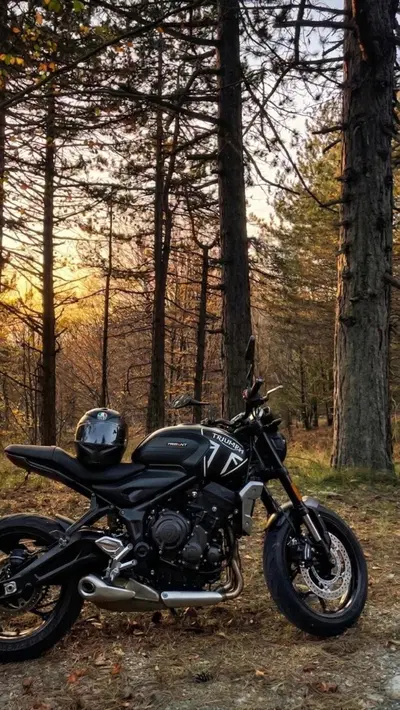 Triumph Trident 660 (2021 - 24) usata