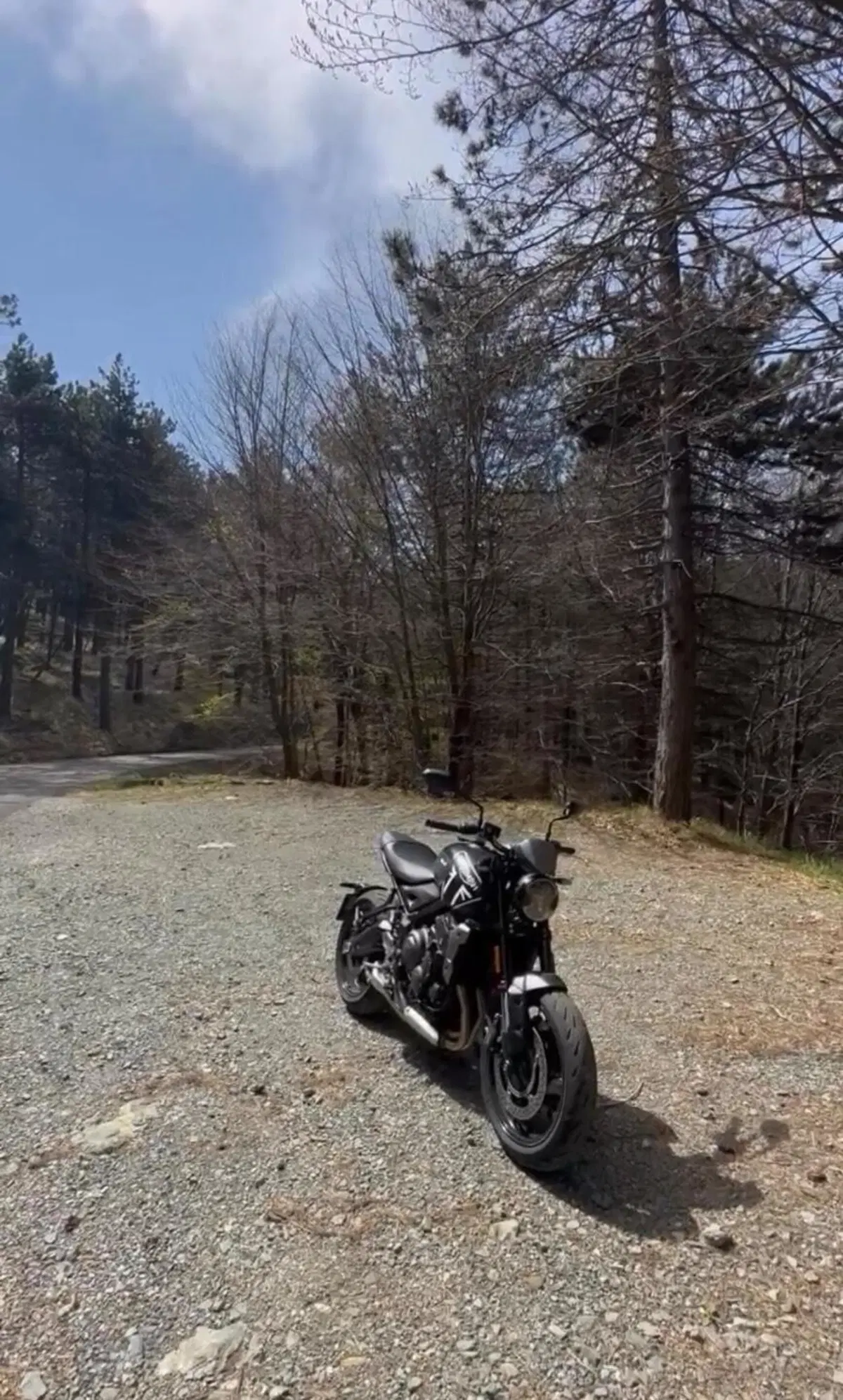 Triumph Trident 660 (2021 - 24) (2)