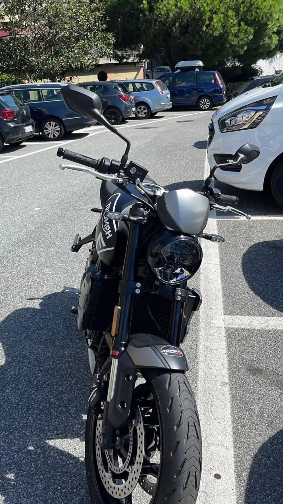 Triumph Trident 660 (2021 - 24) (3)