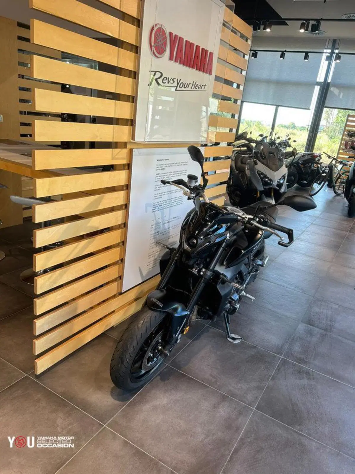 Yamaha MT-09 (2021 - 23) (4)