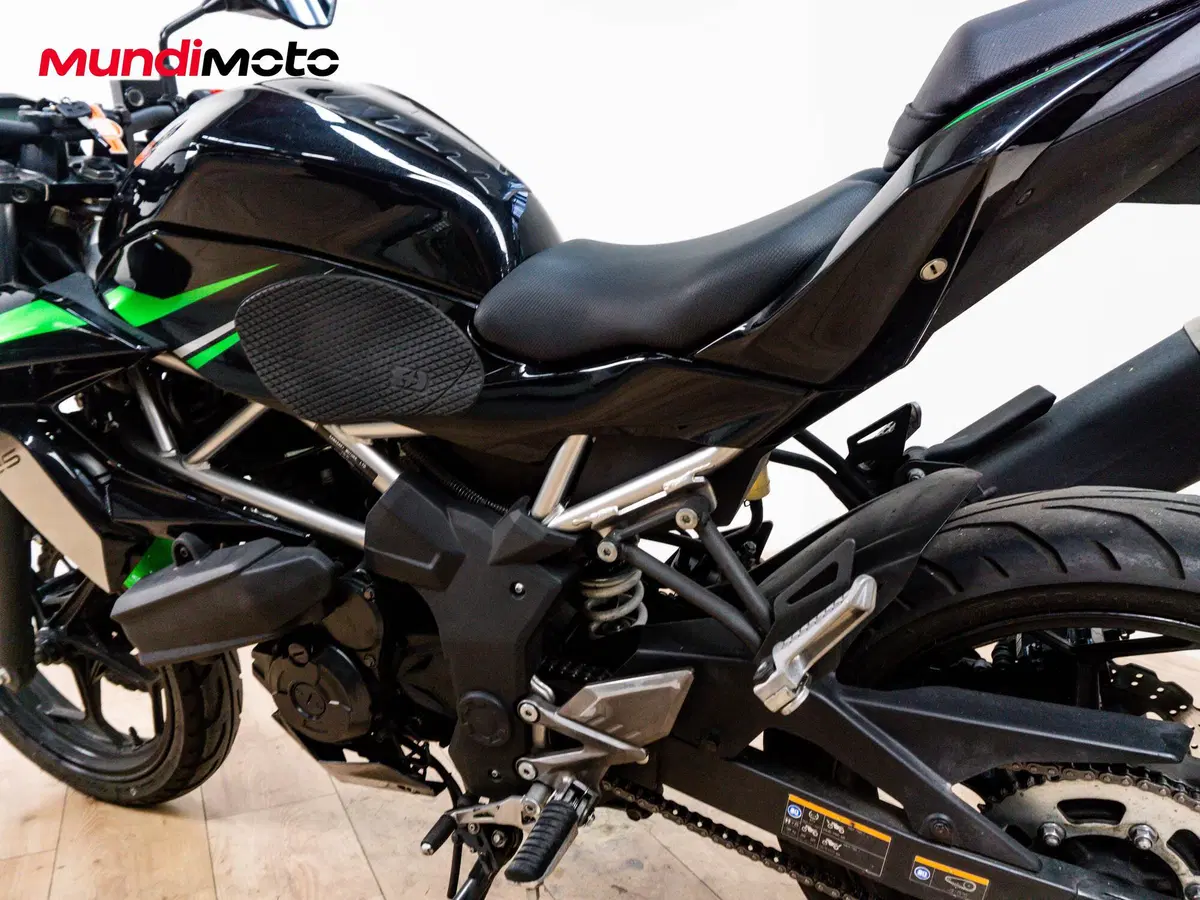Kawasaki Z 125 (2019 - 20) (10)