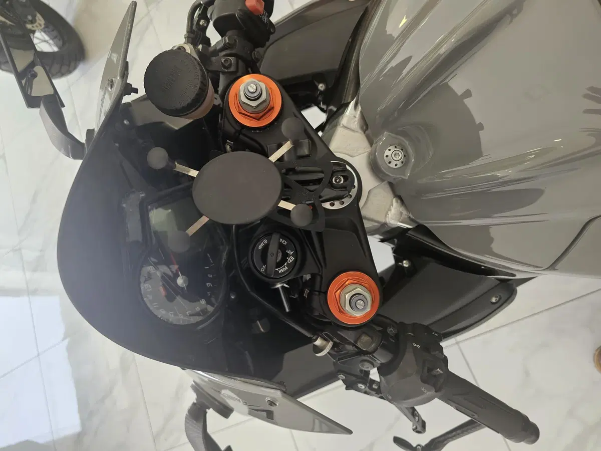 Aprilia RSV4 Factory (2009 - 12) (12)