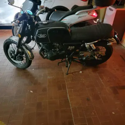 Mash Italia Black Seven 250 (2017 - 20) usata