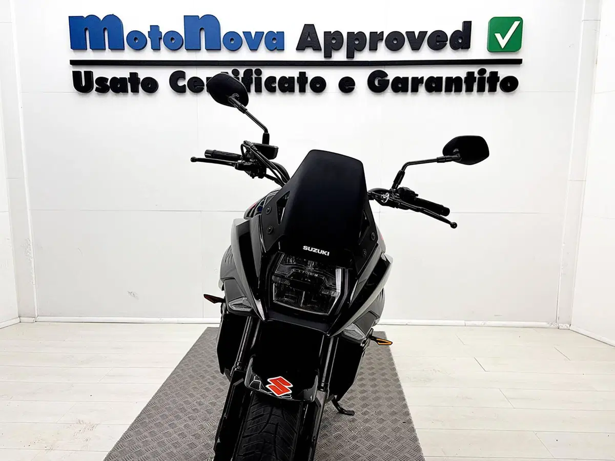 Suzuki Katana 1000 Jindachi (2019 - 20) (4)