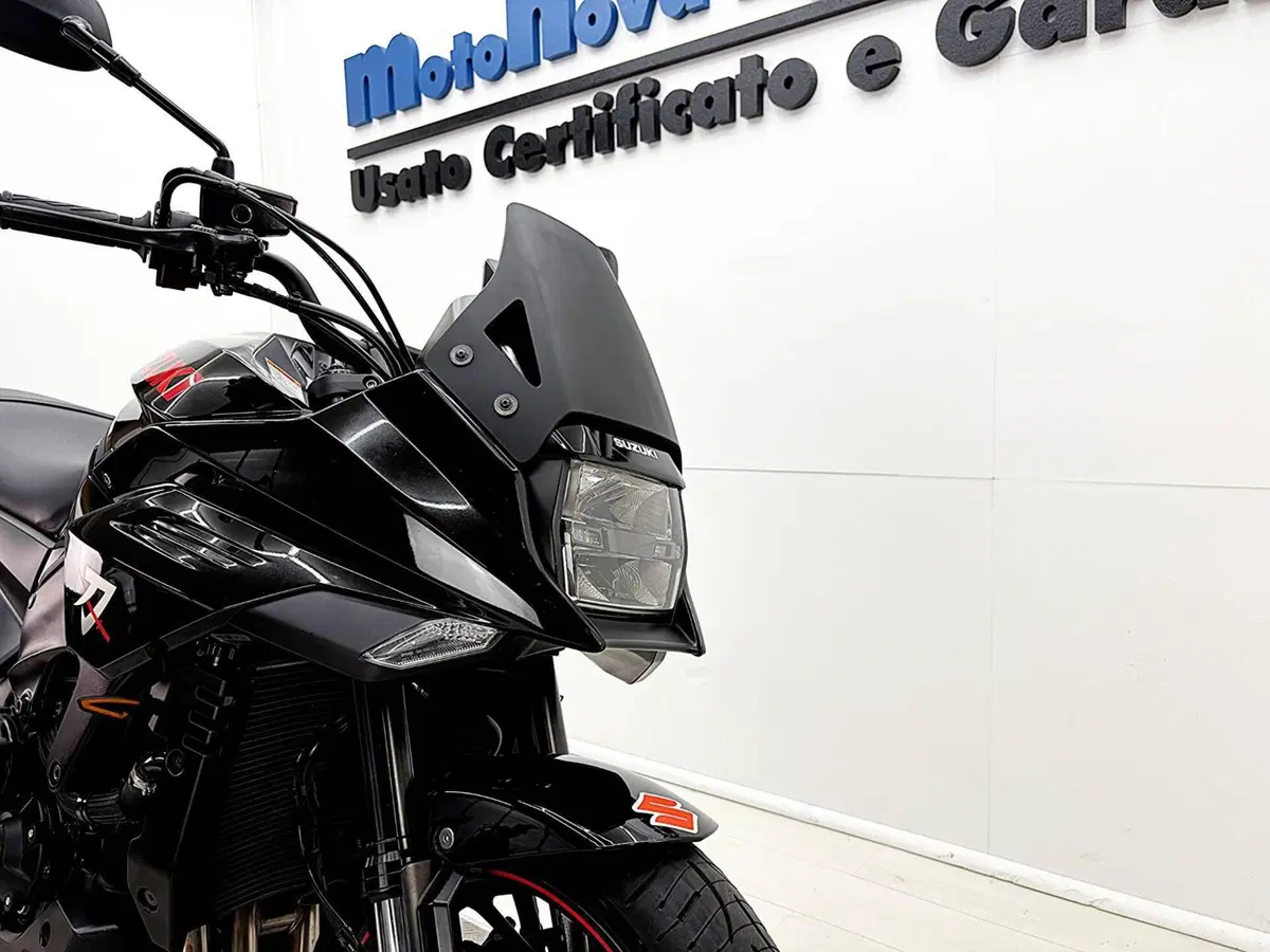 Suzuki Katana 1000 Jindachi (2019 - 20) (11)