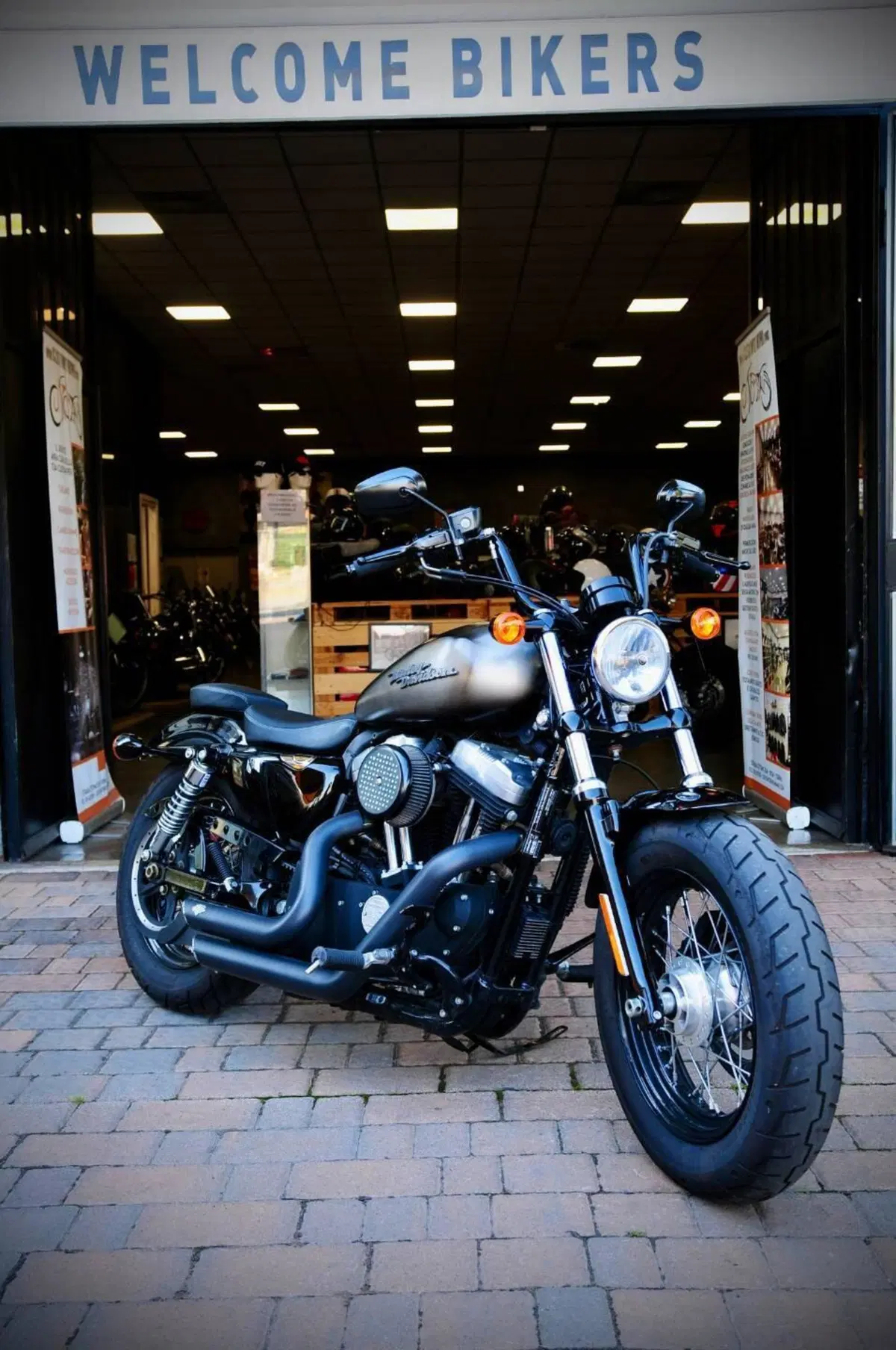 Harley-Davidson 1200 Forty-Eight (2010 - 15)