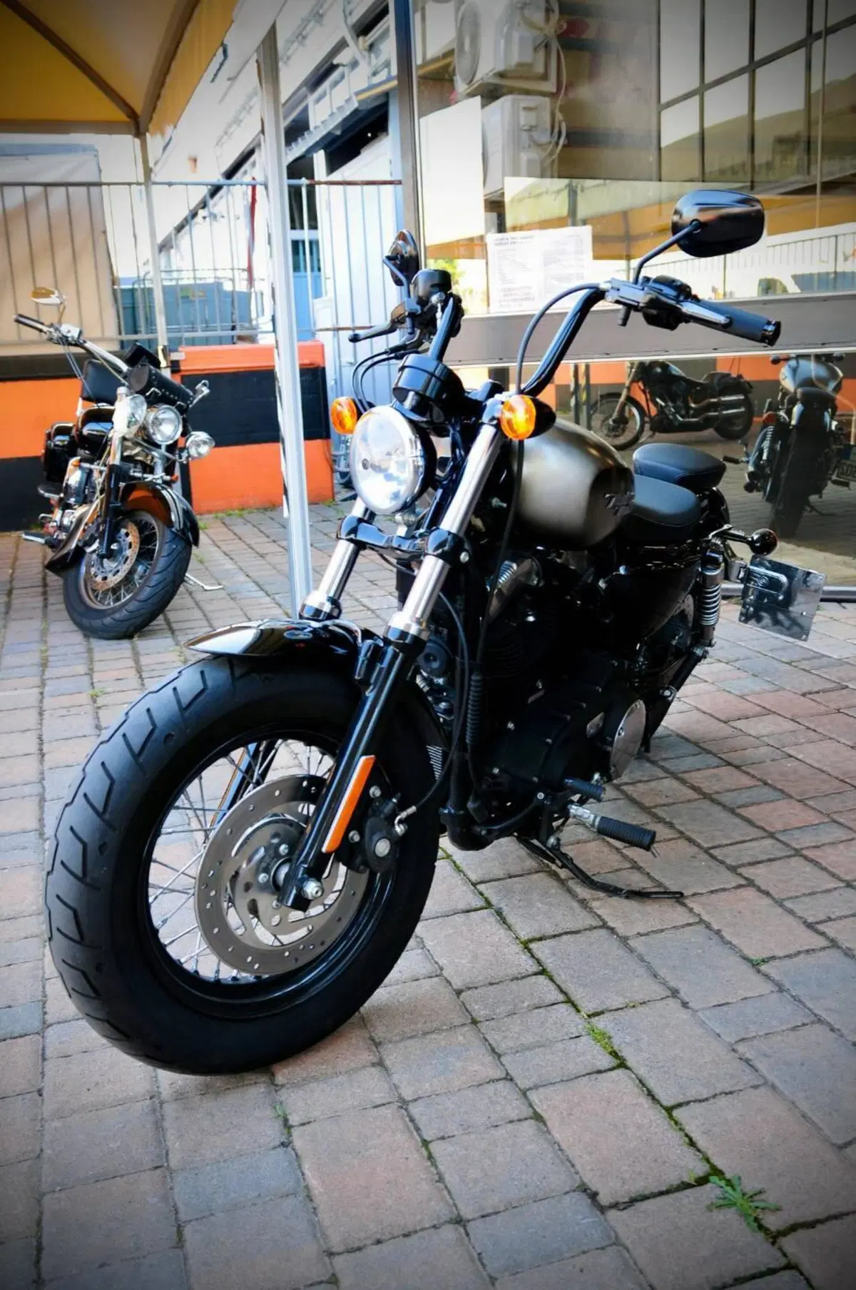 Harley-Davidson 1200 Forty-Eight (2010 - 15) (5)