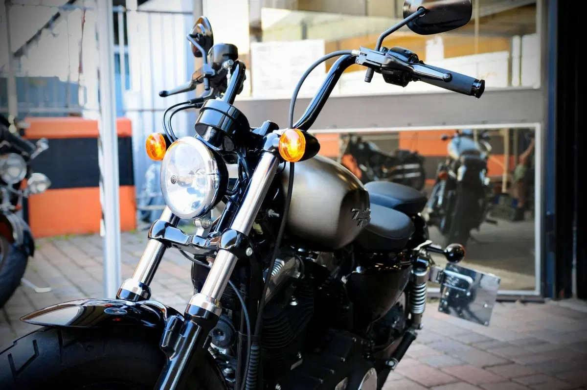 Harley-Davidson 1200 Forty-Eight (2010 - 15) (6)
