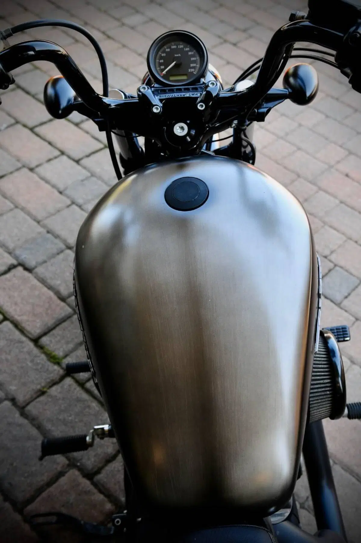 Harley-Davidson 1200 Forty-Eight (2010 - 15) (9)