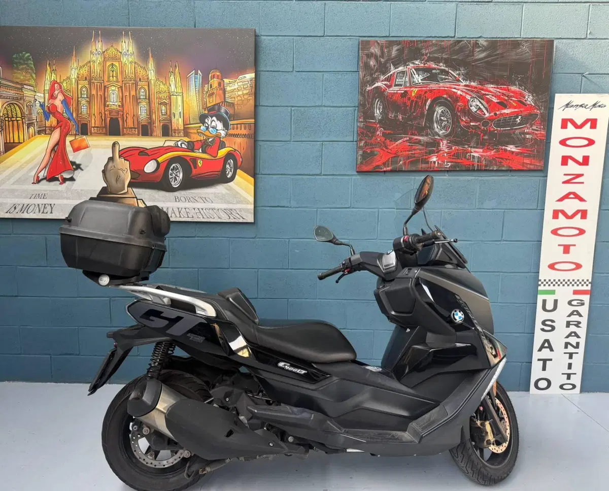 Bmw C 400 GT (2021 - 24) (2)