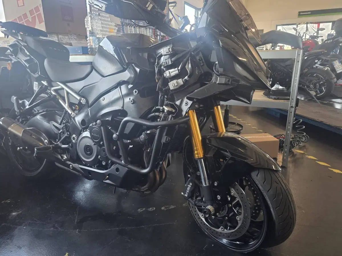 Suzuki GSX-S1000GX (2024 - 26) (5)