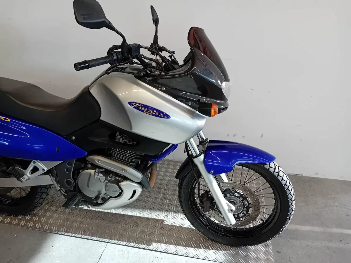 Suzuki XF 650 Freewind (1997 - 03) (7)