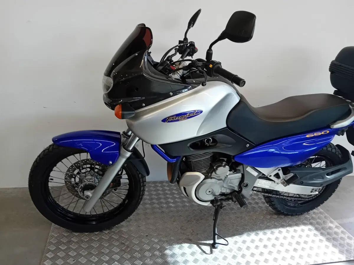 Suzuki XF 650 Freewind (1997 - 03) (4)