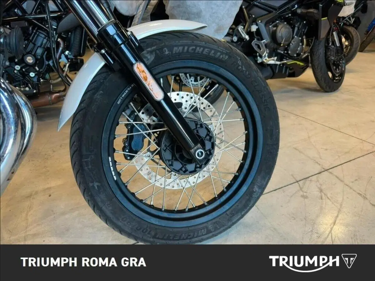 Moto Guzzi V7 Special (2025 - 26) (7)