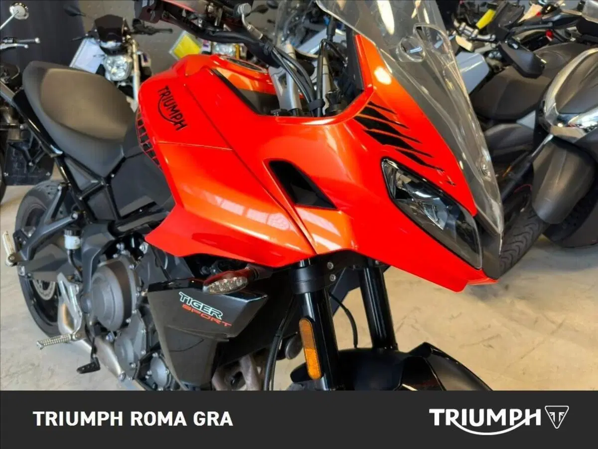 Triumph Tiger Sport 660 (2022 - 24) (11)