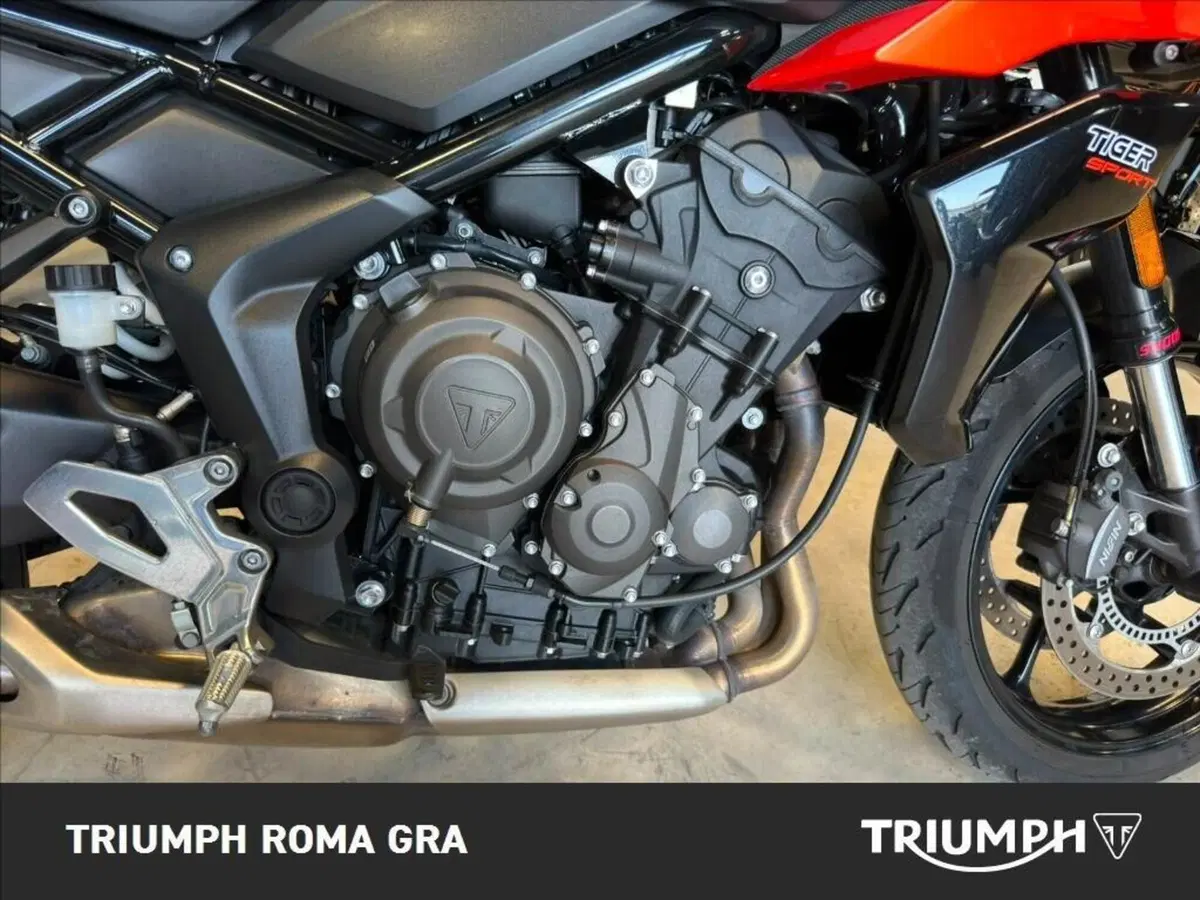 Triumph Tiger Sport 660 (2022 - 24) (6)