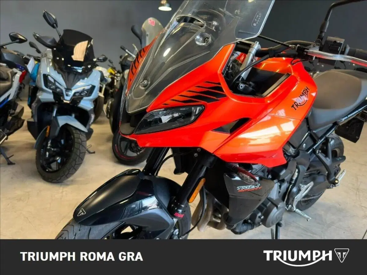 Triumph Tiger Sport 660 (2022 - 24) (12)