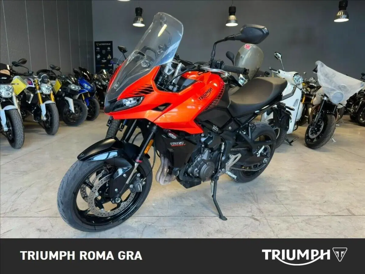 Triumph Tiger Sport 660 (2022 - 24) (3)